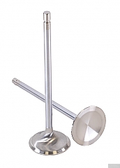 GSC Power Division Intake Valves for Toyota G16E-GTS Engines