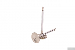 GSC Power Division Intake Valves for Audi 2.5L Daza/DNWA Engines
