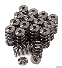 GSC Power-Division Beehive Spring set with Titanium Retainer for the Hyundai G4KF Theta