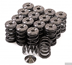GSC Power-Division Dual Spring Set with Ti Retainer for Honda B-Series VTEC Platform