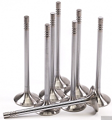 GSC Power-Division Stainless Steel STD Size Head Exhaust Valve for 5.0L Coyote GEN 3