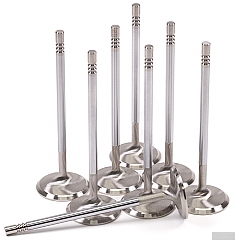GSC Power-Division Stainless Steel STD Size Head Intake Valve for 5.0L Coyote GEN 3
