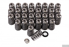 GSC Power-Division Ovate Conical Spring kit for the Gen 3/4 Ford Coyote