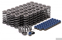 GSC Power-Division Beehive Valve Spring kit for Audi R8/Lamborghini Huracan