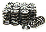 Subaru EJ257/EJ255 (AVCS Intake) Valve Spring Kits