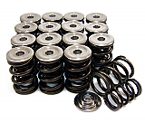 Honda B-series Vtec Valve Spring Kits