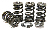 2015+ WRX FA20F Valve Spring Kits