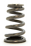 2.0T G4KF Theta Valve Spring Kits