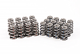 991 Turbo Valve Spring Kit