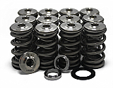 GT3 Cup Valve Spring Kit