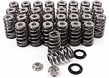 5.0L Coyote Mustang GEN 1/2 Valve Spring Kit