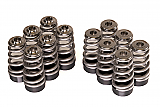 G16E-GTS Valve Spring Kits
