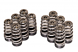 G16E-GTS Valve Spring Kit