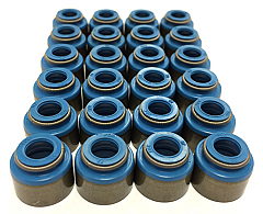 GSC Power-Division Viton Valve Stem Seals for the Nissan TB48
