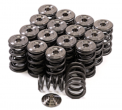 GSC Power-Division Dual Spring Set with Ti Retainer for Honda B-Series VTEC Platform