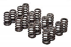 GSC Power-Division 4G63T Single Beehive Spring set for Evo 8/9
