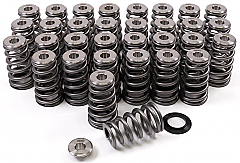 GSC Power-Division High Pressure Ovate Conical Spring kit for the Gen 1/2 Ford Coyote