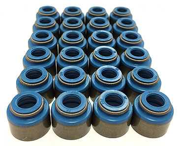 GSC Power-Division Viton Valve Stem Seals for the Nissan TB48