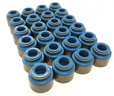 GSC Power-Division Viton Valve Stem Seals for the Nissan TB48