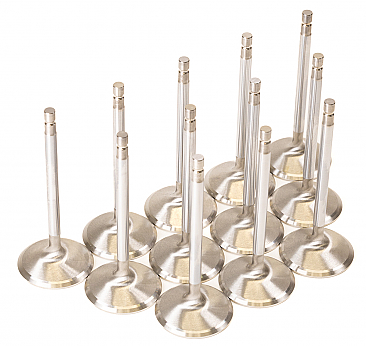 GSC Power Division Flat Face +1mm Intake Valves Nissan VR38DETT