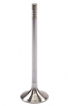 GSC Power-Division Super Alloy STD Size Exhaust Valve for the 5.0L Coyote GEN 3 & Gen 4 Mustang