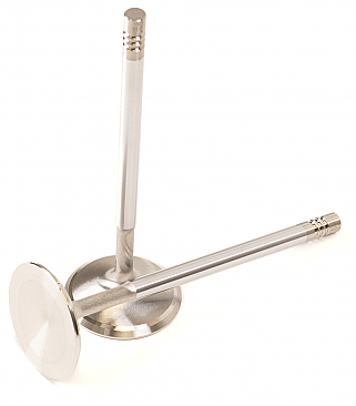 GSC Power Division Intake Valves for Audi R8 5.2L V10 / Lamborghini Huracán 5.2L V10