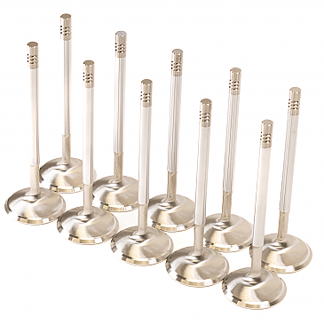 GSC Power Division Intake Valves for Audi R8 5.2L V10 / Lamborghini Huracán 5.2L V10