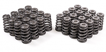 GSC Power-Division Ovate Conical Spring kit for the Gen 1/2 Ford Coyote
