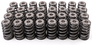 GSC Power-Division High Pressure Ovate Conical Spring kit for the Gen 1/2 Ford Coyote
