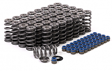 GSC Power-Division Beehive Valve Spring kit for Audi R8/Lamborghini Huracan