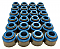 GSC Power-Division Viton Valve Stem Seals for the Nissan TB48