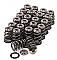 GSC Power-Division VQ35DE NA set of Beehive spring with Ti Retainers