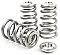 GSC Power-Division Conical Spring Set with Titanium Retainer for 3.5L H.O. Raptor EcoBoost