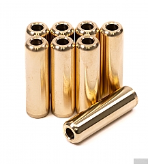 GSC Power-Division Intake OR Exhaust Valve Guide for Ford 2.3 EcoBoost