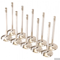 GSC Power Division Intake Valves for Audi R8 5.2L V10 / Lamborghini Huracán 5.2L V10
