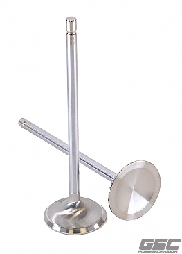 GSC Power Division Intake Valves for Toyota G16E-GTS Engines
