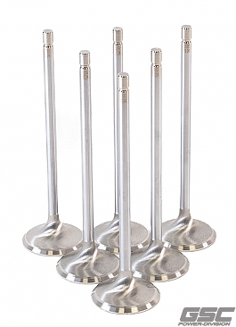 GSC Power Division Intake Valves for Toyota G16E-GTS Engines