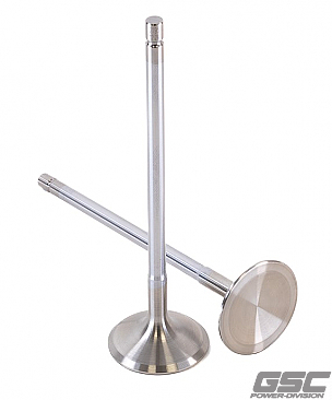 GSC Power Division Exhaust Valves for Toyota G16E-GTS Engine