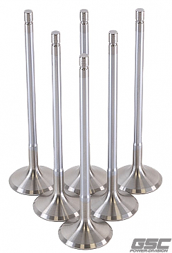 GSC Power Division Exhaust Valves for Toyota G16E-GTS Engine