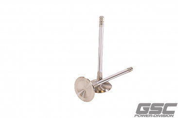 GSC Power Division Intake Valves for Audi 2.5L Daza/DNWA Engines