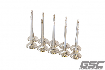 GSC Power Division Intake Valves for Audi 2.5L Daza/DNWA Engines