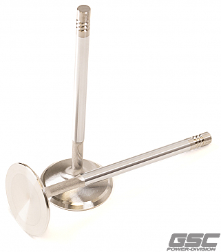GSC Power Division Intake Valves for Audi R8 5.2L V10 / Lamborghini Huracán 5.2L V10