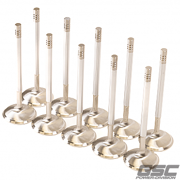 GSC Power Division Intake Valves for Audi R8 5.2L V10 / Lamborghini Huracán 5.2L V10