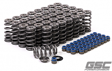 GSC Power-Division Beehive Valve Spring kit for Audi R8/Lamborghini Huracan