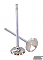 GSC Power Division Intake Valves for Toyota G16E-GTS Engines