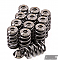 GSC Power-Division CAN-AM Maverick X3 Turbo Beehive HP Spring kit with Ti retainer