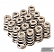 GSC Power-Division Conical Valve Spring with Ti Retainer and Seat for the 22+ Subaru WRX FA24F