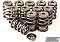 GSC Power-Division CAN-AM Maverick X3 Turbo Conical Spring kit with Ti Retainer
